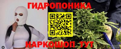 крисы Ливны